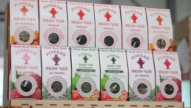 Фото: В Череповце начали промышленное производство сырья для иван-чая