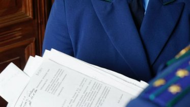 Фото: Череповчанка попалась на мошенничестве при получении выплат на ребенка