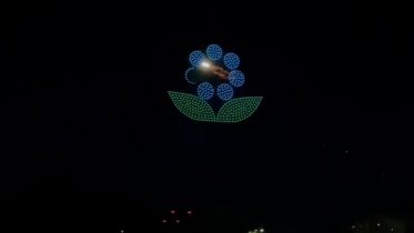 Фото: Пять суток получил череповчанин, запускавший ракеты во время шоу дронов