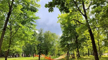 Фото: В Соляном саду появились гамаки