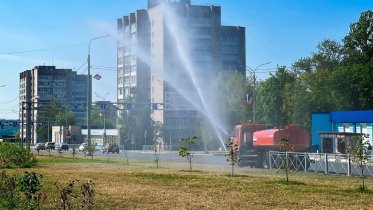 Фото: Череповец переходит на круглосуточный полив деревьев