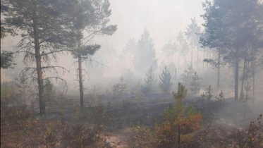 Фото: Череповчанам рассказали о причинах запаха гари
