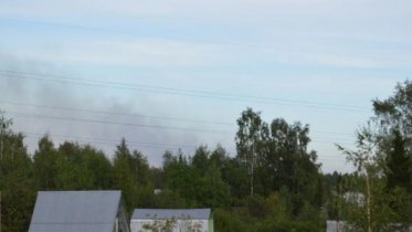 Фото: 5 гектаров леса сгорело под Череповцом