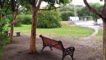 Фото: Неизвестные ободрали кору с деревьев у скейт-парка