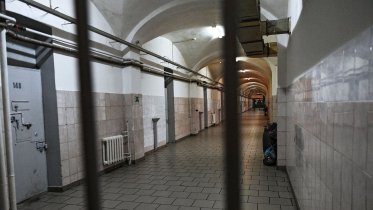 Фото: Подозреваемый в убийстве пожилого дачника в Череповецком районе задержан