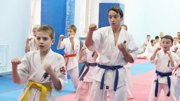 Фото: День открытых дверей проведут в Центре боевых искусств