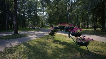 Фото: В Череповце исчезают конструкции с цветами