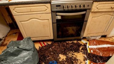 Фото: Череповчанка разгромила съемную квартиру