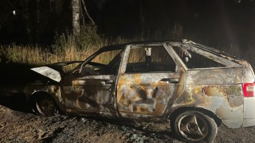 Фото: Припаркованная легковушка вспыхнула в Череповецком районе