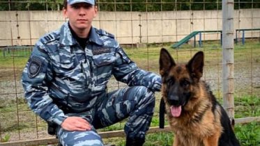 Фото: В Череповце с овчаркой искали школьника