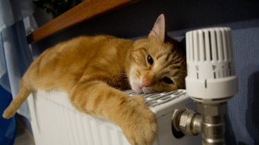 Фото: Отопление включат во всех квартирах Череповца