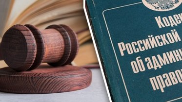 Фото: В Череповецком районе нетрезвый дачник из Москвы открыл стрельбу