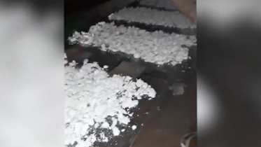 Фото: Череповчанин и житель Ленобласти организовали совместную нарколабораторию