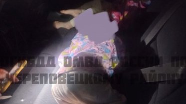 Фото: Череповчанка получила штраф за неправильную перевозку детей