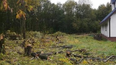 Фото: В Череповце «Событийная площадь» требует жертв