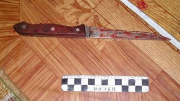 Фото: 71-летний череповчанин на даче пытался расправиться с племянником