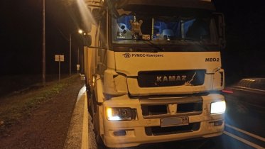 Фото: КамАЗ переехал лося на трассе под Череповцом