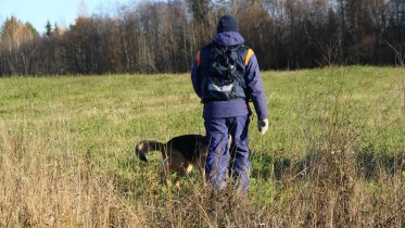 Фото: «Лиза Алерт» обучит череповчан поиску людей