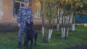 Фото: В Череповце первоклассника искали с собакой