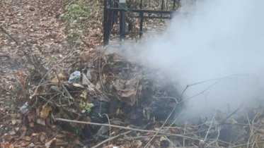 Фото: На кладбище Череповца вспыхнул пожар