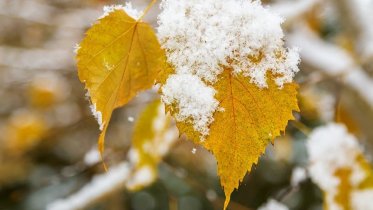 Фото: Череповчанам пообещали снежную и холодную неделю