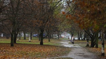 Фото: В сквере на Архангельской может появиться читальня и зона для проведения детского досуга