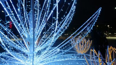 Фото: Череповец начал преображаться к новогодним праздникам