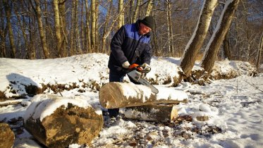 Фото: На берегу Шексны провели субботник
