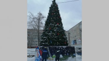 Фото: Первую новогоднюю елку установили в Череповце