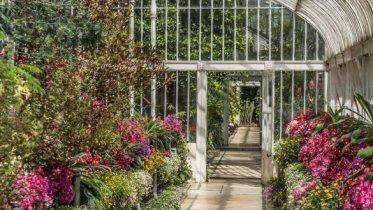 Фото: Собственная оранжерея может появиться в Череповце