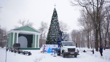 Фото: Новогодняя ель появилась в Соляном саду