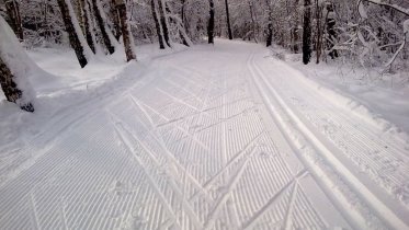 Фото: О подготовке трасс рассказали череповецким лыжникам