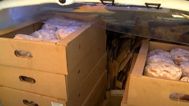 Фото: Череповецкий магазин помог полуфабрикатами приюту «Пес и кот»