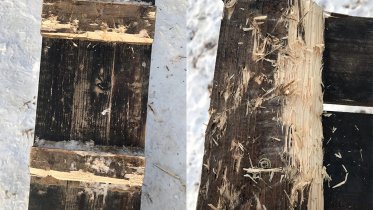 Фото: Собачью площадку на Любецкой уже успели повредить