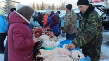 Фото: Сельскохозяйственная ярмарка пройдет в Зашекснинском районе