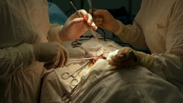 Фото: Череповецкие врачи поставили на ноги пациента с опухолью позвоночника