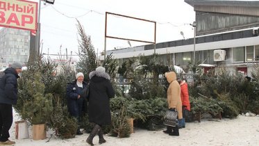 Фото: В Череповце стали известны места организации елочных базаров