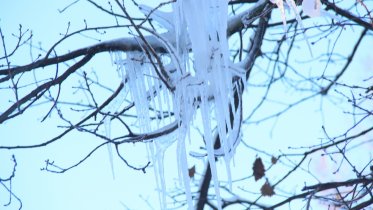 Фото: Череповчанам обещают потепление