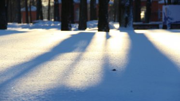 Фото: В Череповец вслед за оттепелью придет похолодание