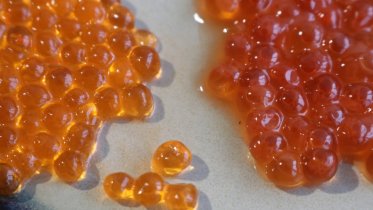 Фото: В Череповце спугнули торговца фальшивой красной икрой