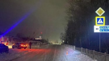 Фото: Под Череповцом сбили пешехода