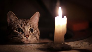 Фото: В Череповецком районе отключают свет