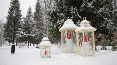 Фото: Новогодние фотозоны появились в Соляном саду