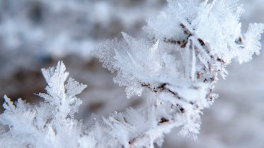 Фото: Рождество в Череповце будет еще более морозным