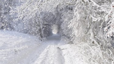 Фото: Завтра в Череповец придут сильнейшие снегопады