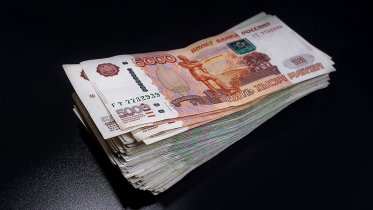 Фото: Череповчанка, покупая щенка, лишилась сбережений