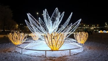 Фото: Новогодние елки в Череповце начнут убирать со следующей недели