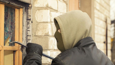 Фото: У череповчанки едва не «обнесли» дачу в Вожеге