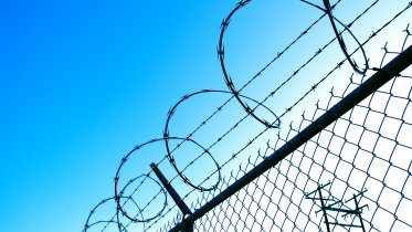 Фото: Сбежавшего осужденного наказали в Череповецком районе