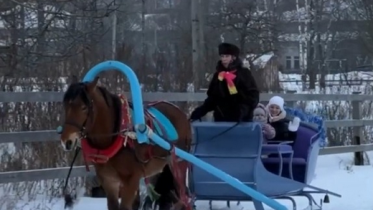 Фото: Череповчан приглашают прокатиться на санях по усадьбе Гальских